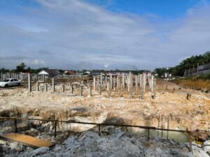 WhatsApp Image 2025-03-24 at 10.17.00 AM