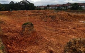 Copy of WhatsApp Image 2025-10-24 at 2.34.04 PM