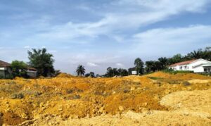Copy of WhatsApp Image 2025-11-14 at 9.46.58 AM (1)