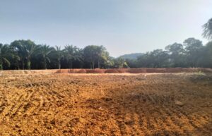 Copy of WhatsApp Image 2026-01-23 at 9.39.56 AM